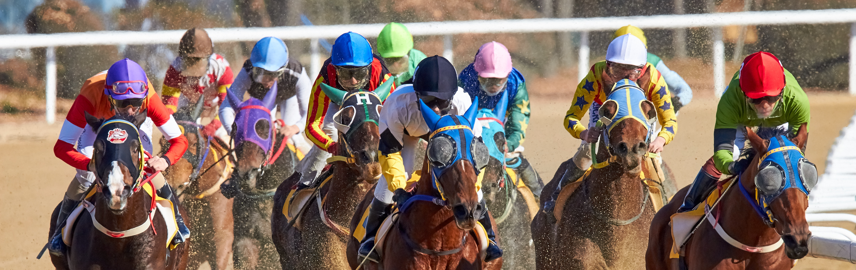 Horse racing polo