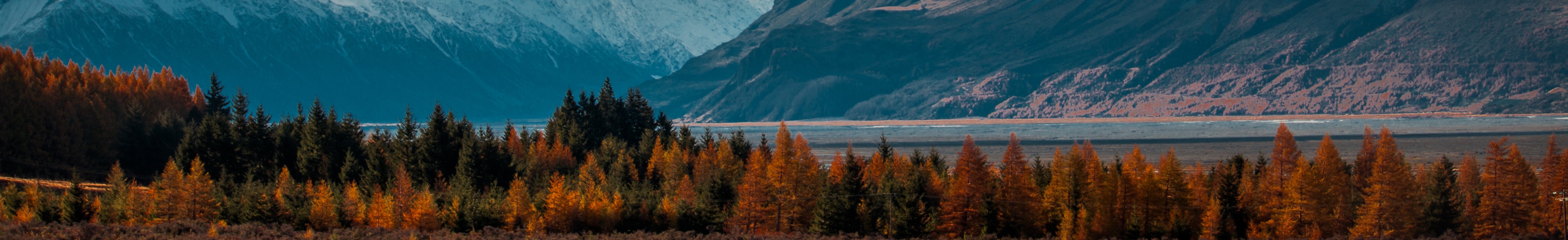 Lake Pukaki Image of Lake Pukaki in New Zealand