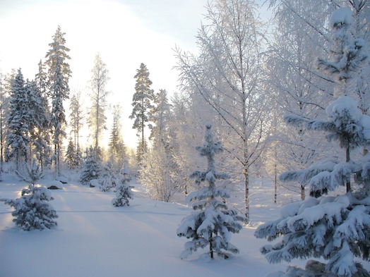 Sending money to Finland