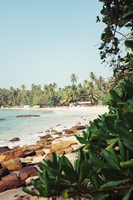 Transfer money to Sri Lanka