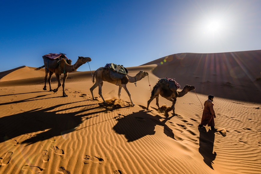 send money to morocco