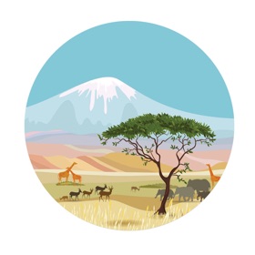 The Best Ways to Send Money to Kenya Online From Australia